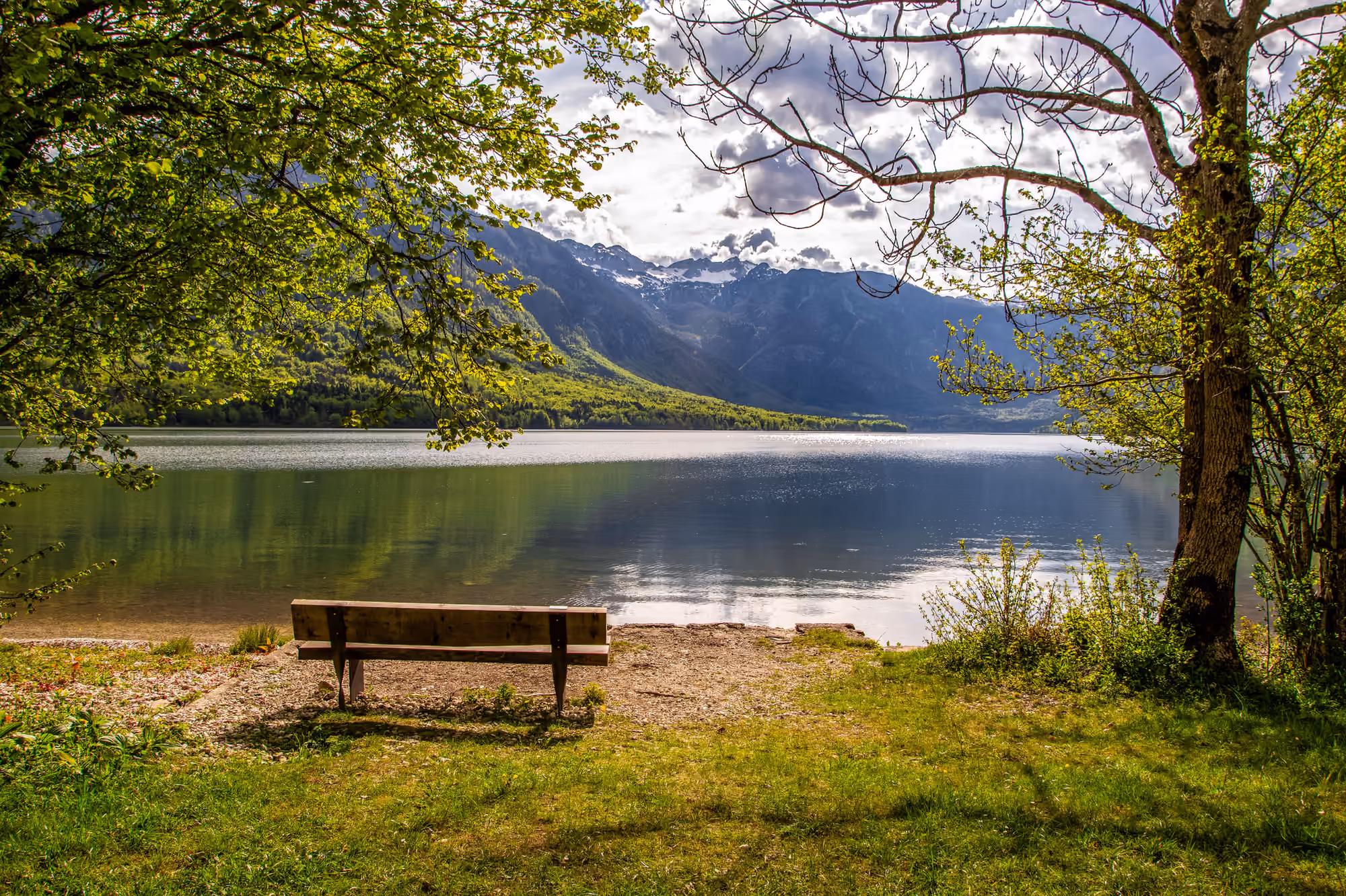 A quiet wooden bench on the grassy shore of a calm lake, framed by trees and mountains